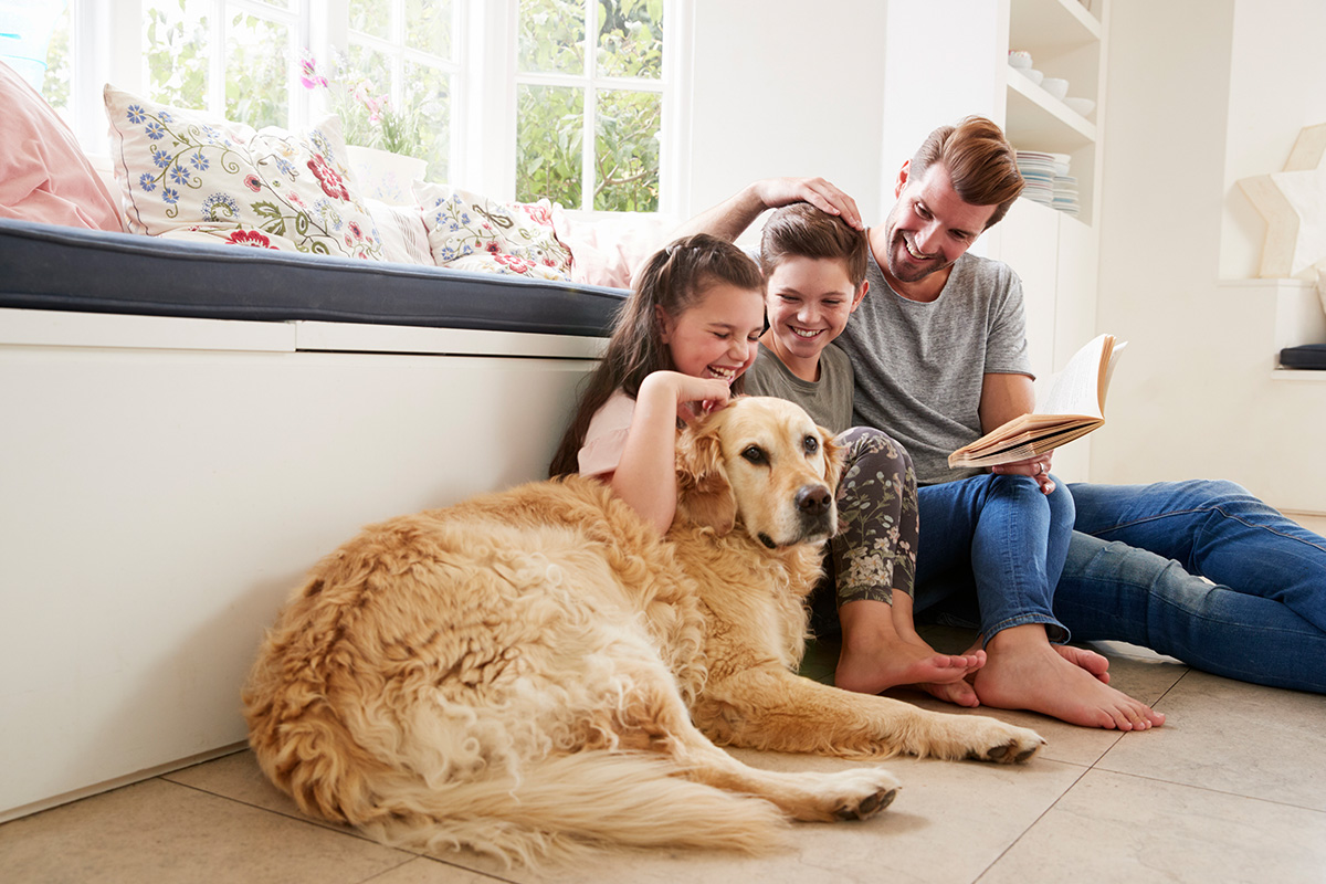 Zwei Kinder sitzen auf dem Boden neben ihrem Papa, der ein Buch in der Hand hält und einem ruhigen Golden Retriever in einem hellen Wohnzimmer